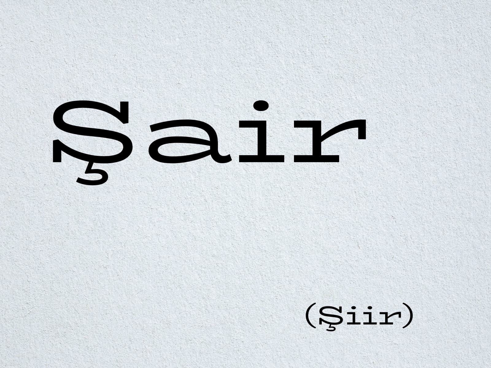 Şair